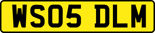 WS05DLM