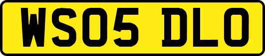 WS05DLO