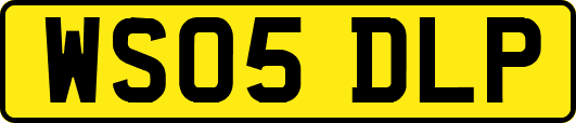 WS05DLP