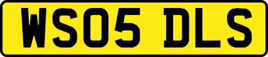 WS05DLS
