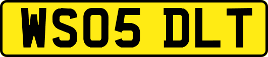 WS05DLT