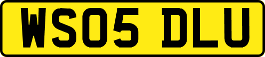 WS05DLU