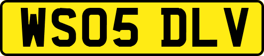 WS05DLV