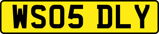 WS05DLY