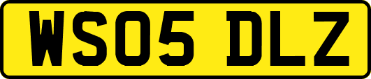 WS05DLZ