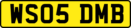 WS05DMB
