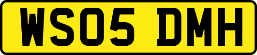WS05DMH
