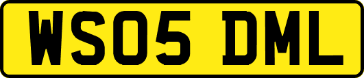 WS05DML