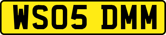 WS05DMM