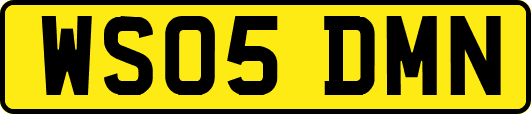 WS05DMN