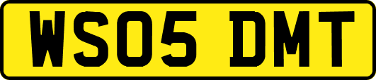 WS05DMT
