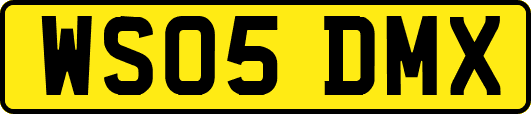 WS05DMX