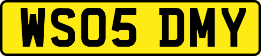 WS05DMY