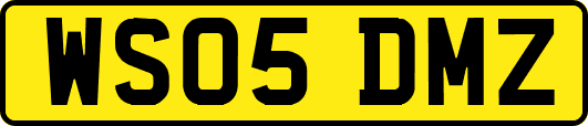 WS05DMZ
