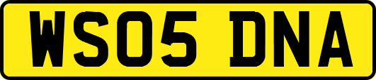 WS05DNA