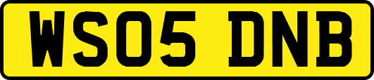 WS05DNB