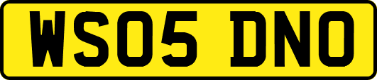 WS05DNO