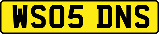 WS05DNS