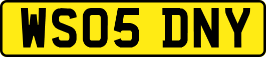WS05DNY