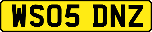 WS05DNZ