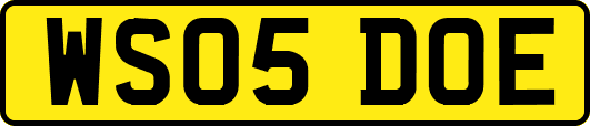 WS05DOE