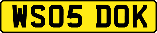 WS05DOK