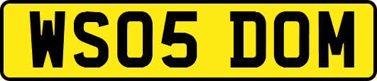 WS05DOM