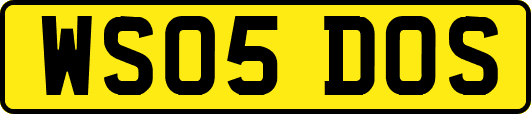 WS05DOS