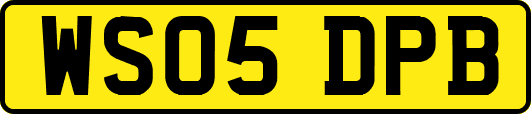 WS05DPB