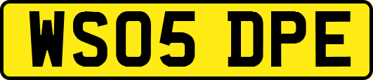 WS05DPE