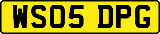 WS05DPG