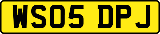 WS05DPJ