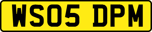 WS05DPM