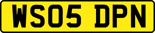 WS05DPN