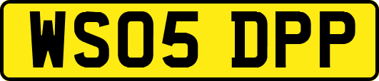 WS05DPP