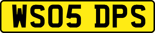 WS05DPS