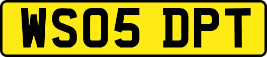 WS05DPT