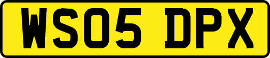WS05DPX