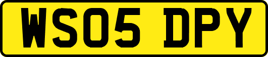 WS05DPY
