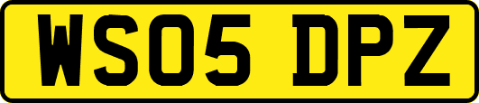 WS05DPZ