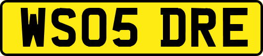 WS05DRE