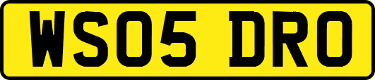 WS05DRO