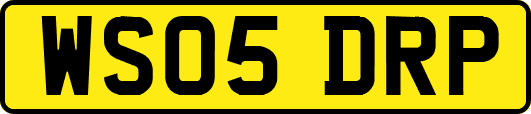 WS05DRP