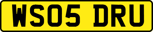 WS05DRU