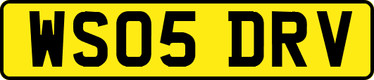 WS05DRV