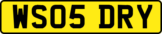WS05DRY