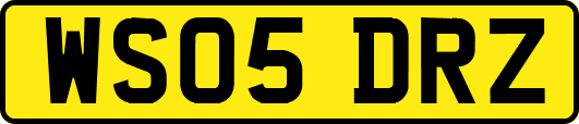 WS05DRZ