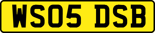 WS05DSB