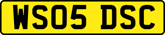 WS05DSC