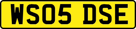 WS05DSE